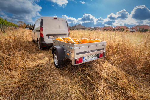 Remolque de carga ligero Garden Trailer 150 KIPP 150x106  MMA 750KG - Imagen 16