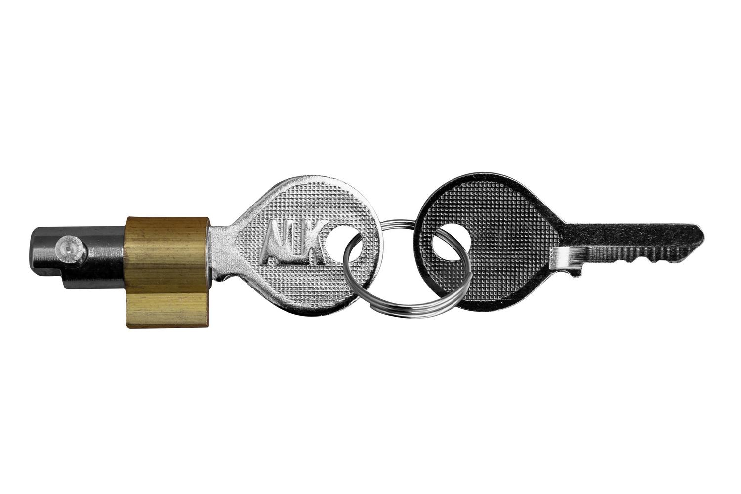 Cilindro de la cerradura AL-KO AKS 2000 / AK 30 / AK 35 - Imagen 4